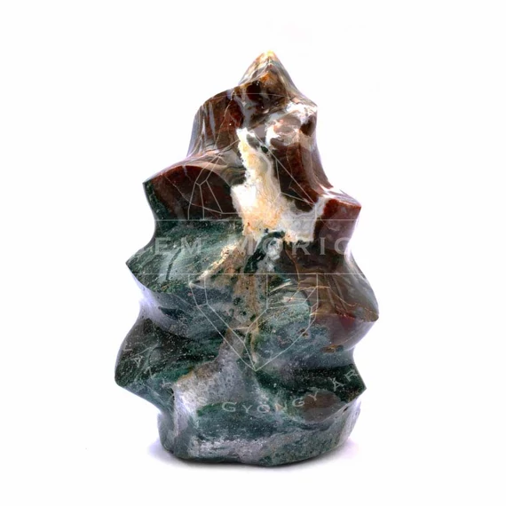 Óceánjáspis lángnyelv, 4,8 kg