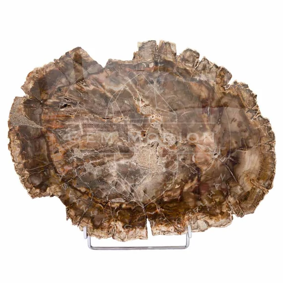 Kovásodott fa szelet, 30-45 cm, 3,165 kg