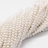 Shell pearl