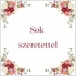 Kísérő kártya, sok szeretettel, rózsás, 8x8 cm